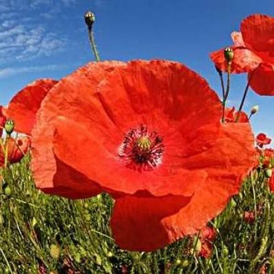 江南APP官方网站登录